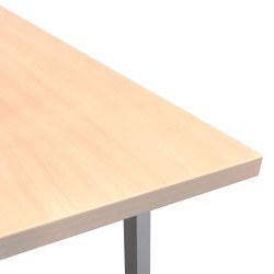 Table top ERGO 160x80cm, birch